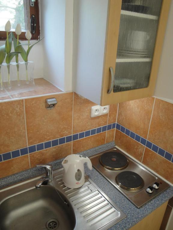 Pension Apartment Granit براغ الغرفة الصورة